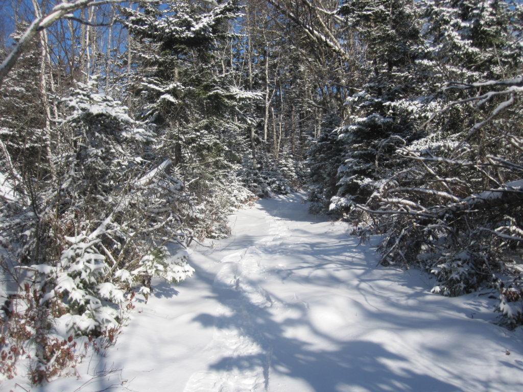 Mineville, Nova Scotia Snow shoeing surprises Great Earth Expeditions