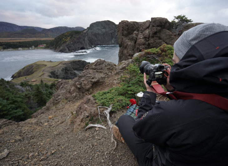 bottle cove newfoundland